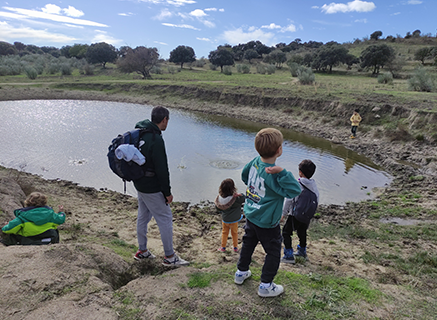 Actividades Familiares